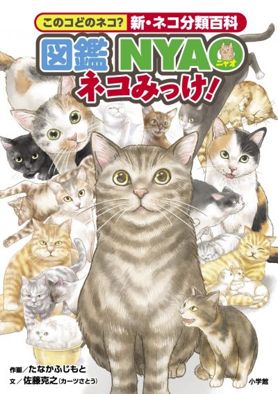 Guide illustré NYAO: cherche et trouve les chats!